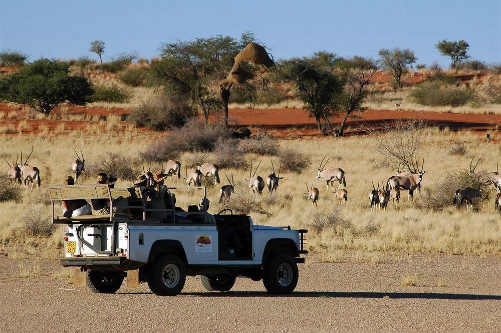 Kalahari Anib Lodge Intu Afrika Kalahari Game Reserve Extérieur photo