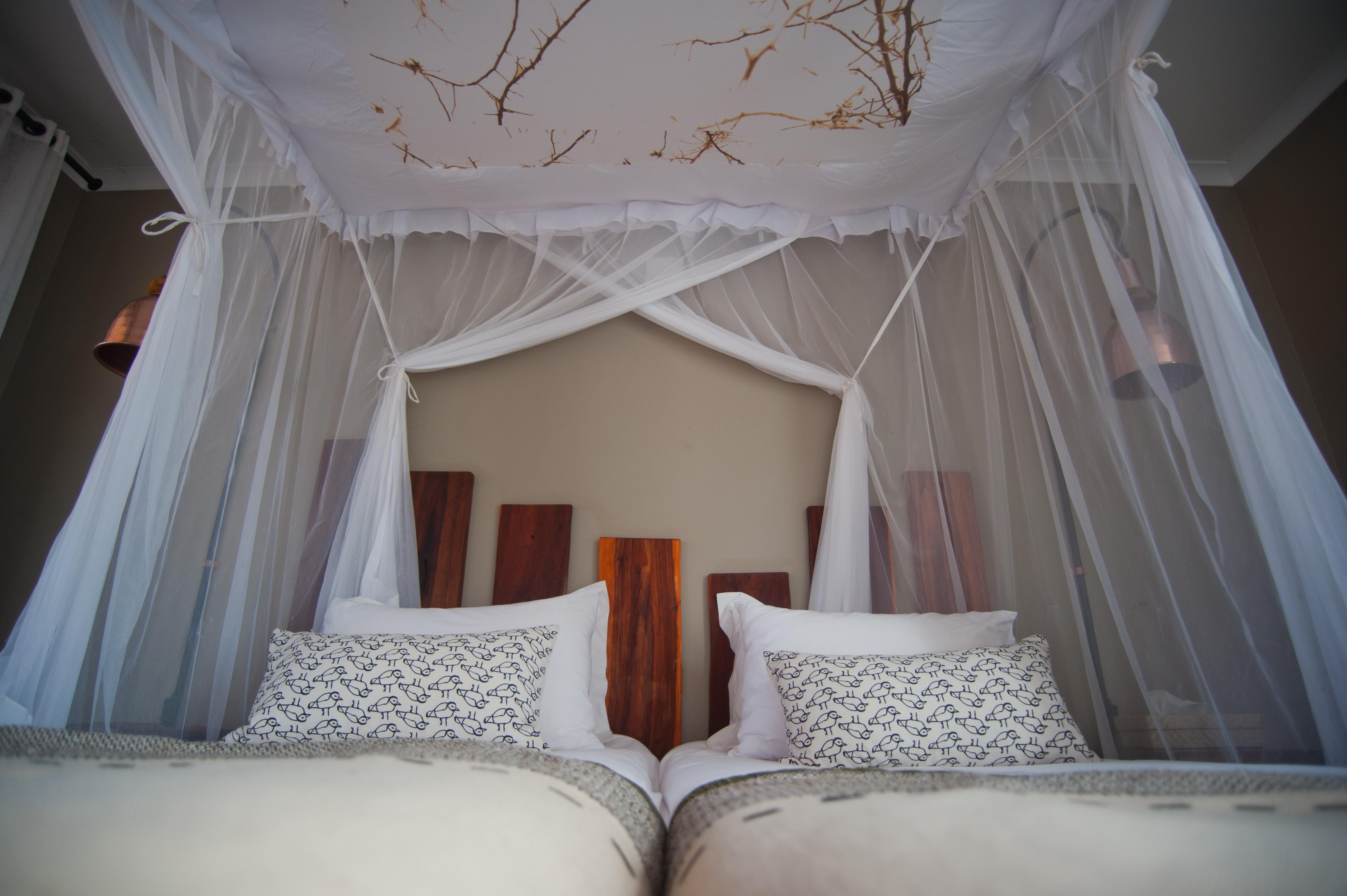 Kalahari Anib Lodge Intu Afrika Kalahari Game Reserve Extérieur photo